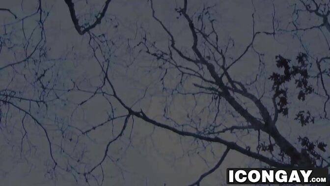 Roman and Shane fucking passionately