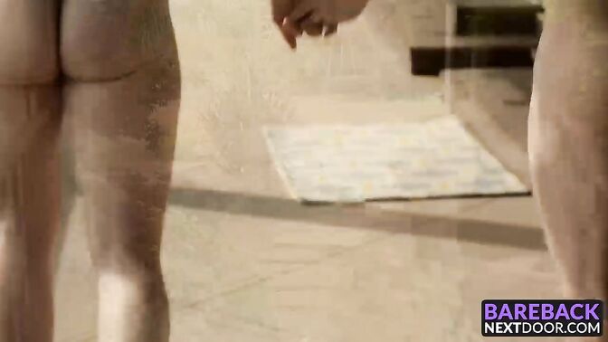 Smoking hot dudes having bareback sex