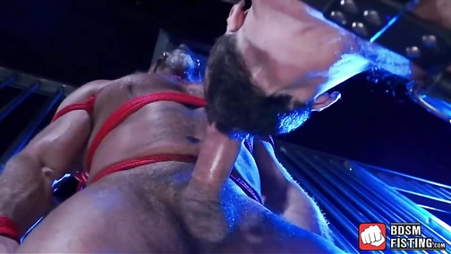 Stud forced to enjoy blowjob all tied up