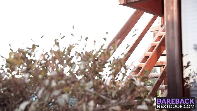 Two horny jocks enjoy a hard bareback