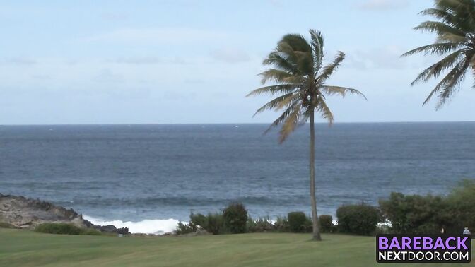Roman Todd destroys bottom Johnny Riley