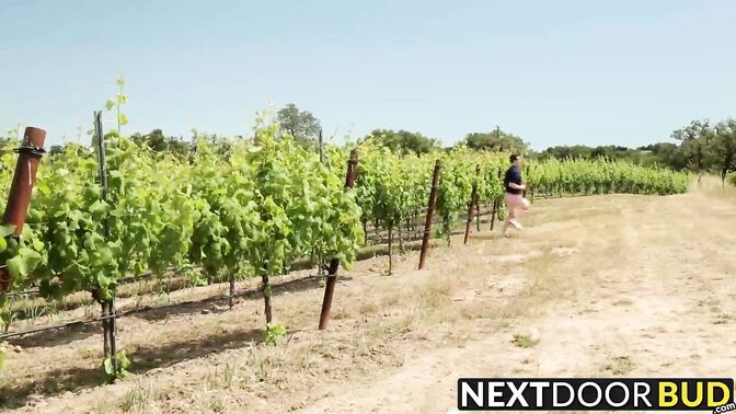 Two dudes servicing each others dicks