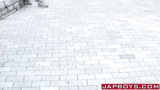 Smooth Asian homo plowed after 69 fun