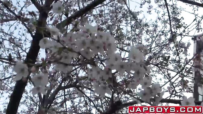 Japanese twinks ramming after sucking